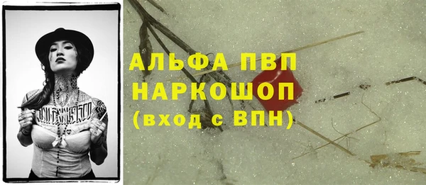 трава Пересвет